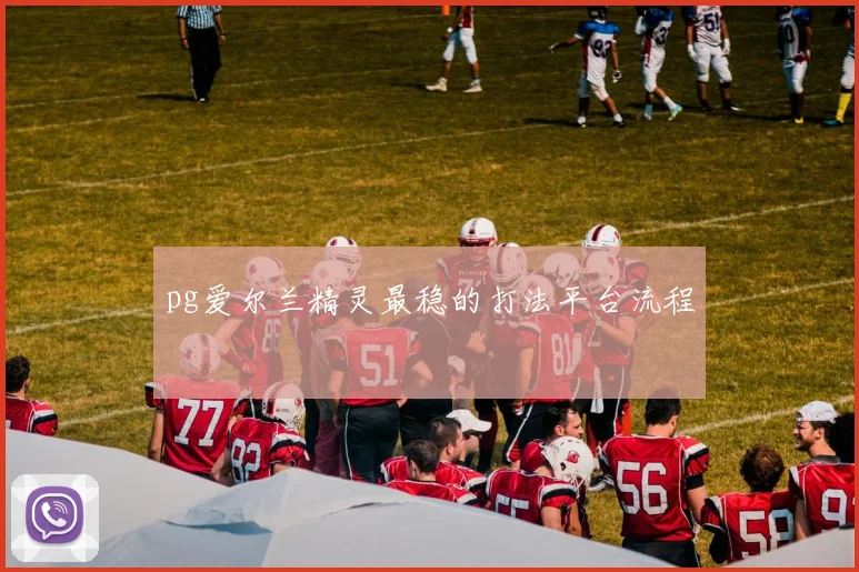 pg爱尔兰精灵最稳的打法平台流程