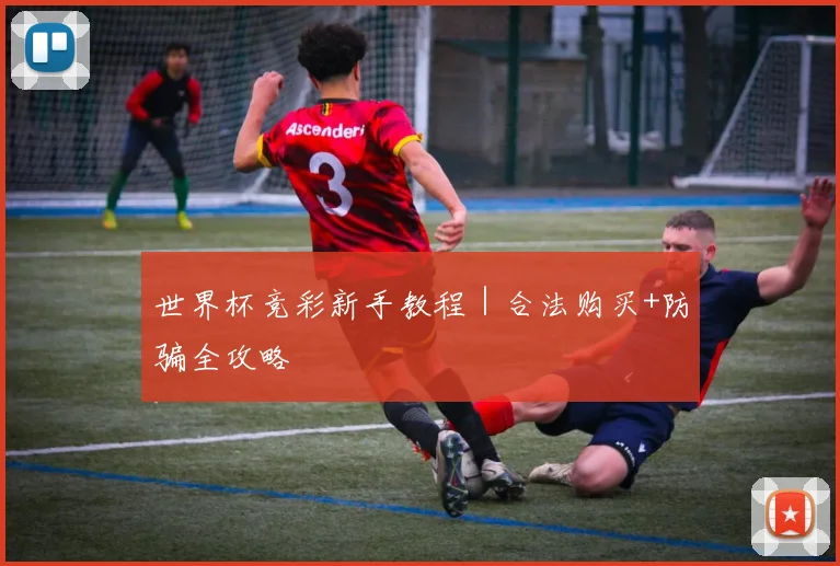 世界杯竞彩新手教程｜合法购买+防骗全攻略