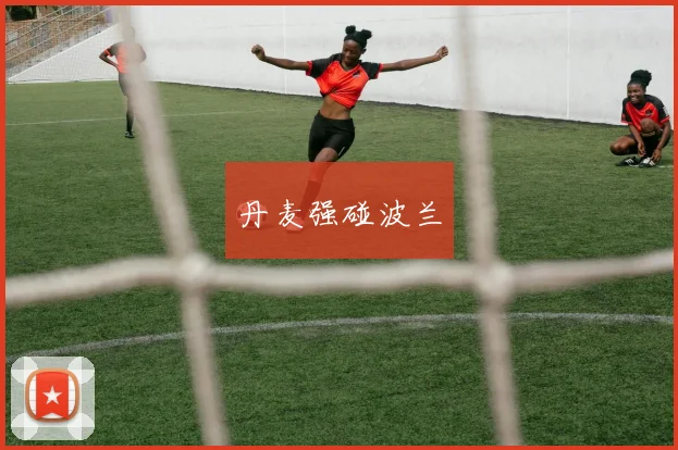 丹麦强碰波兰