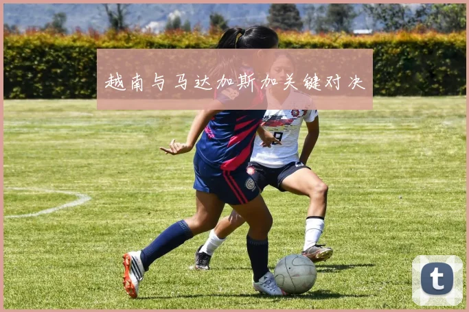 越南与马达加斯加关键对决