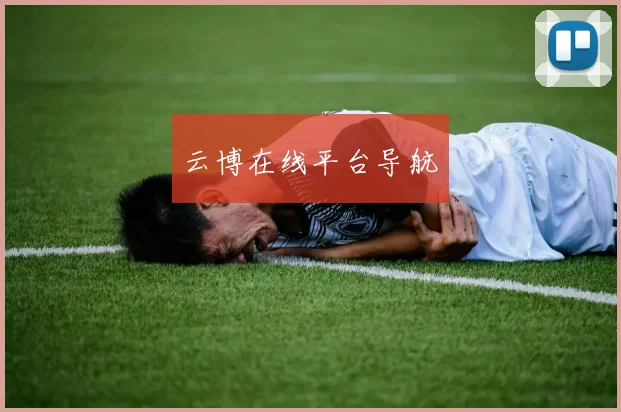 云博在线平台导航