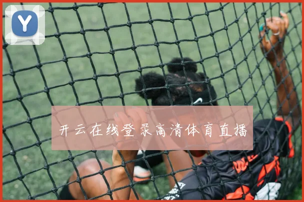 开云在线登录高清体育直播