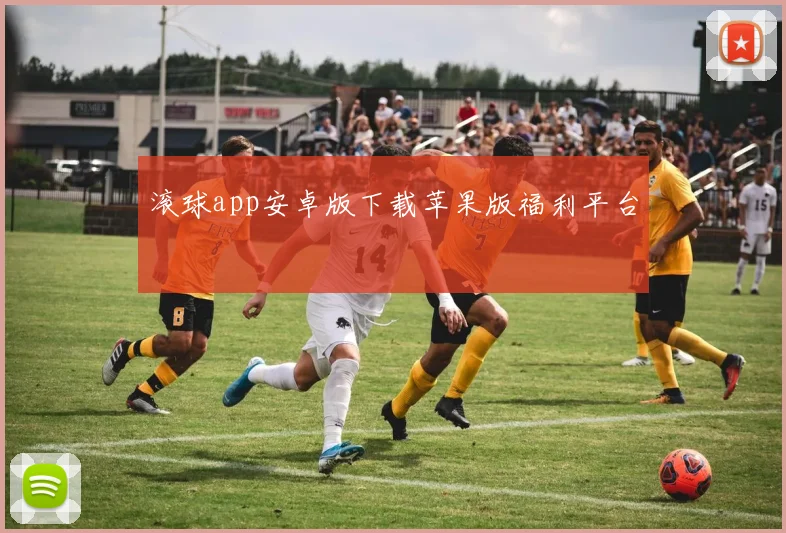 滚球app安卓版下载苹果版福利平台