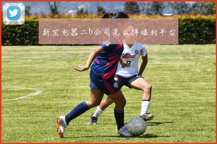 新宝电器二b公司怎么样福利平台