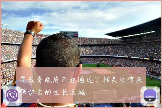 墨西哥政府已经通过了相关法律来保护它的生长区域
