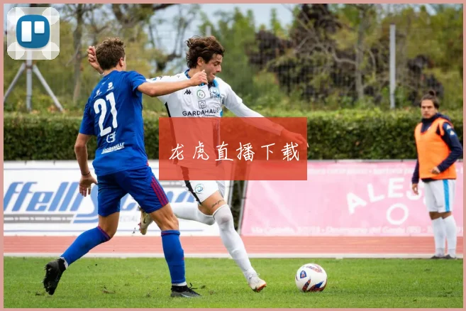 龙虎直播下载