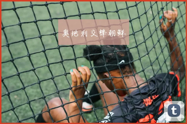 奥地利交锋朝鲜