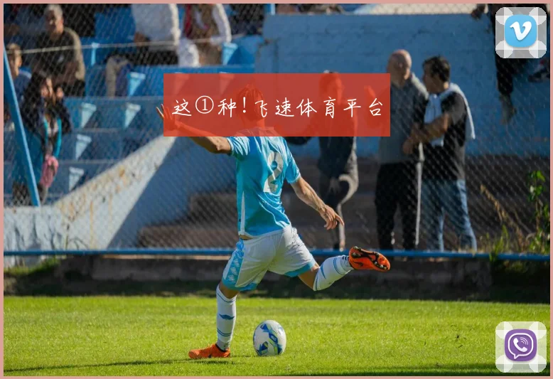 这①种!飞速体育平台