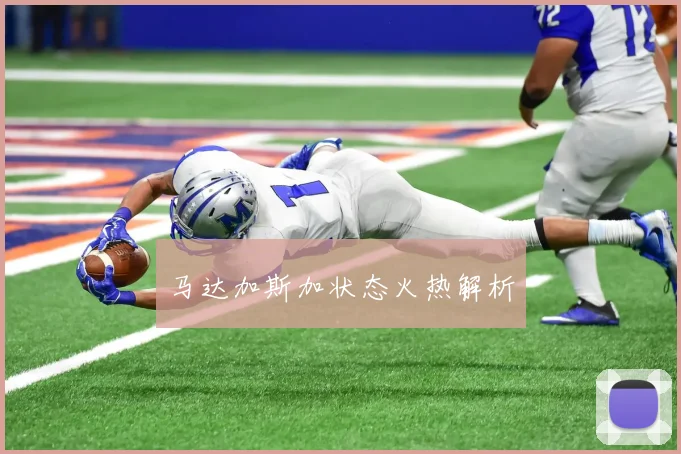 马达加斯加状态火热解析