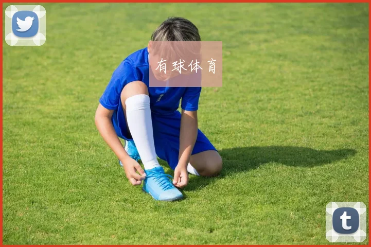 有球体育