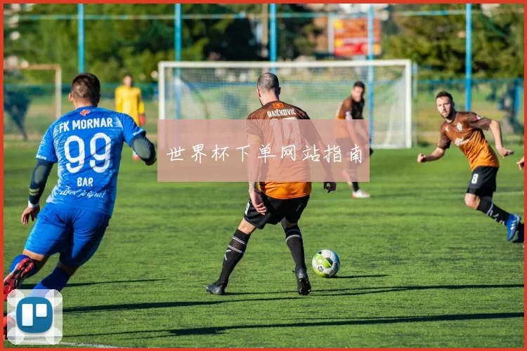 世界杯下单网站指南