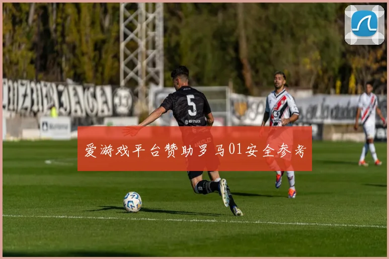 爱游戏平台赞助罗马01安全参考
