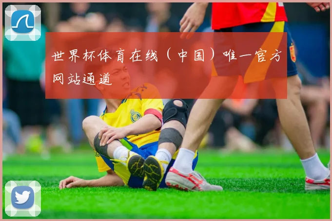 世界杯体育在线（中国）唯一官方网站通道