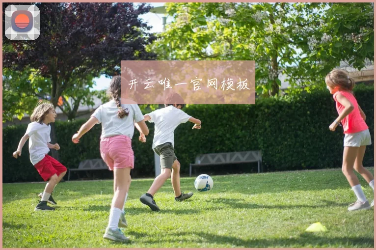 开云唯一官网模板