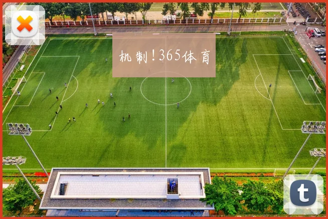 机制!365体育
