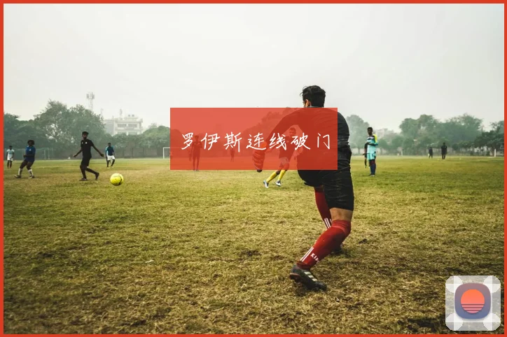 罗伊斯连线破门