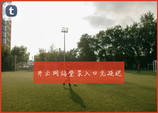 开云网站登录入口无延迟