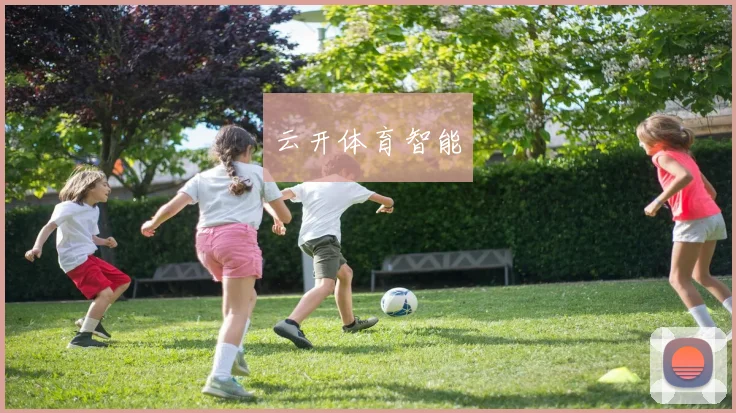 云开体育智能