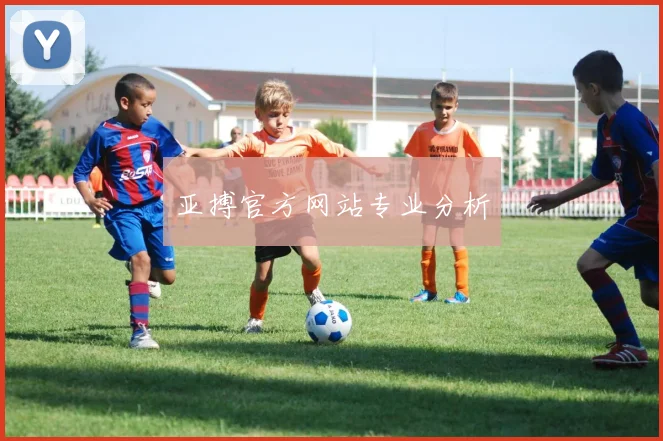 亚搏官方网站专业分析