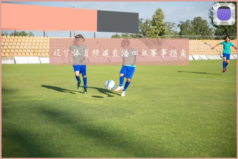 辽宁体育频道直播回放赛事指南