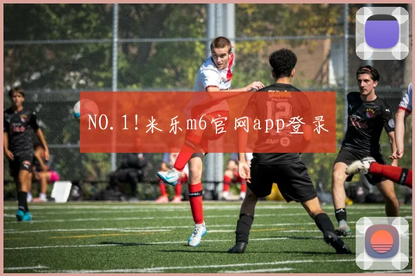 NO.1!米乐m6官网app登录