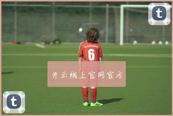 开云线上官网官方