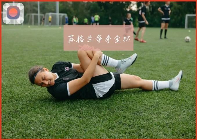苏格兰争夺金杯