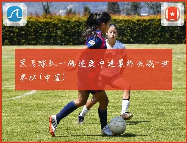 黑马球队一路逆袭冲进最终决战-世界杯(中国)
