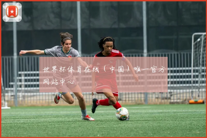 世界杯体育在线（中国）唯一官方网站中心