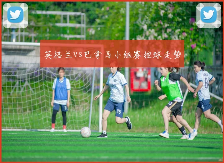 英格兰vs巴拿马小组赛控球走势