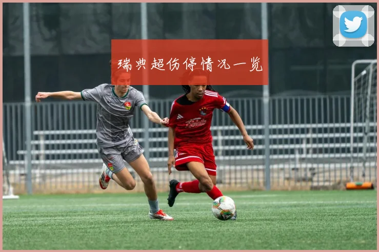 瑞典超伤停情况一览
