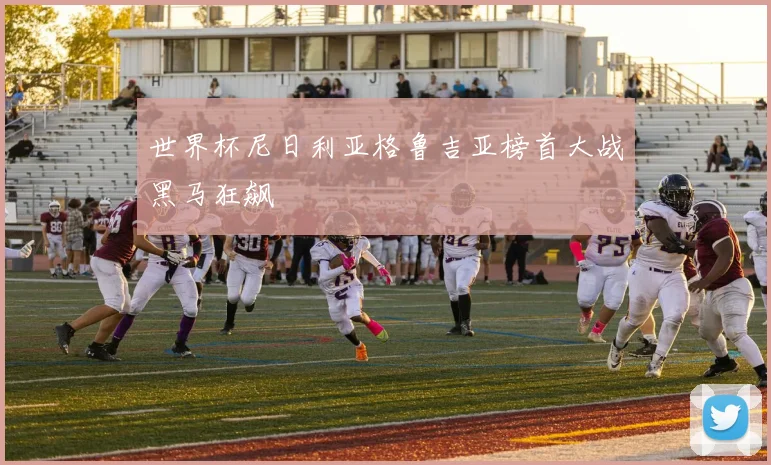 世界杯尼日利亚格鲁吉亚榜首大战黑马狂飙