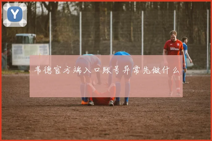 韦德官方端入口账号异常先做什么