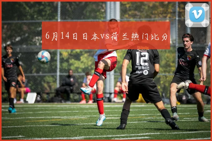 6月14日日本vs荷兰热门比分