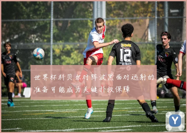 世界杯科贝尔对阵波黑面对远射的准备可能成为关键扑救保障